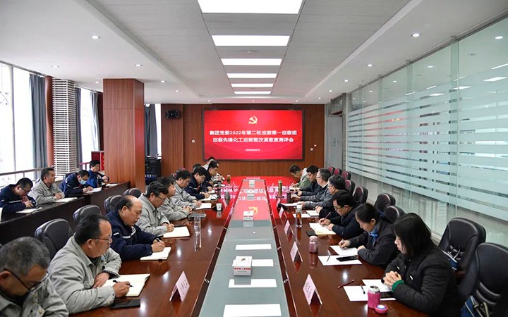 云煤（南宫NG28）集团党委巡察办到前锋化工公司督导查抄巡察整改工作