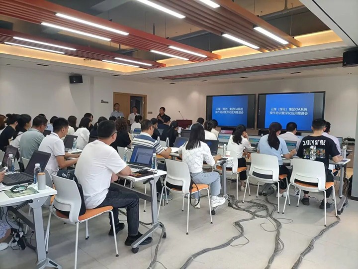 【聚焦云煤】云煤（南宫NG28）集团进行OA系统操作培训暨深入利用推动会