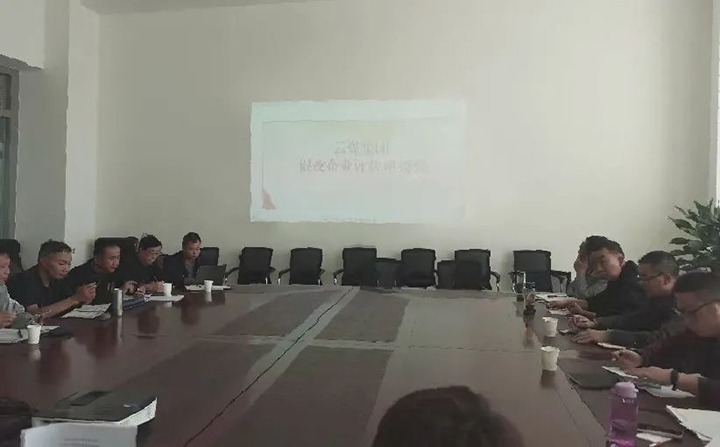 【聚焦云煤】云煤（南宫NG28）集团召开混合所有造企业评估座谈会