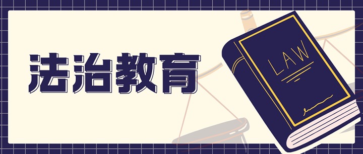 法条也有烟火气，看完电影有了新答案