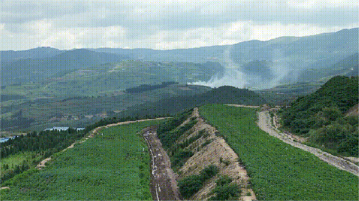 6.gif